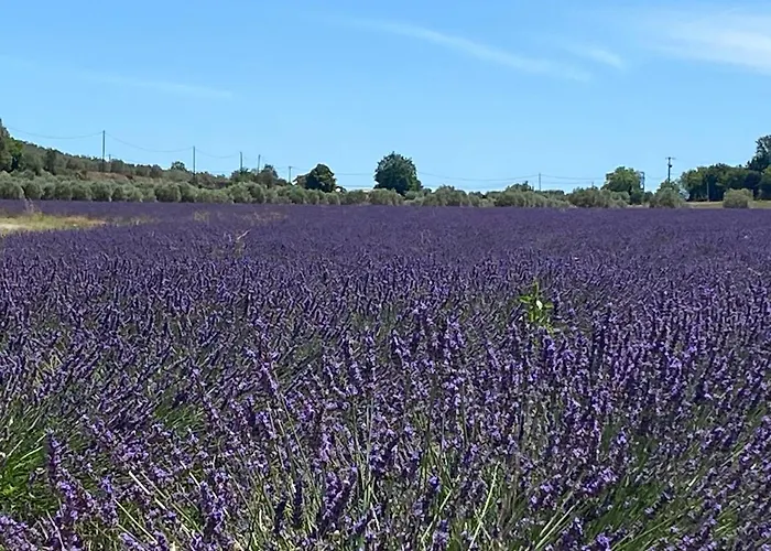 Gite Cocotte Luberon, Forcalquier
