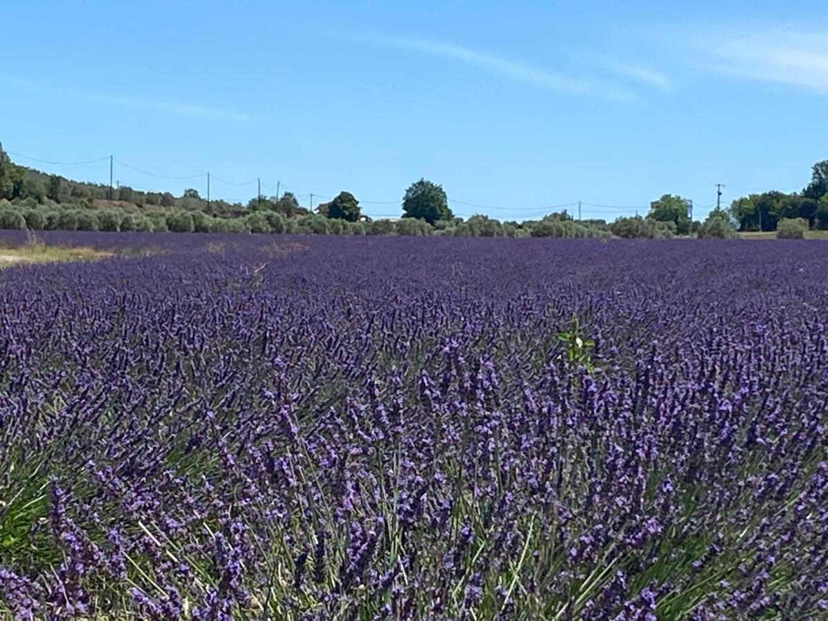 Holiday home Cocotte Luberon, Forcalquier Pierrerue (Alpes-de-Haute-Provence)