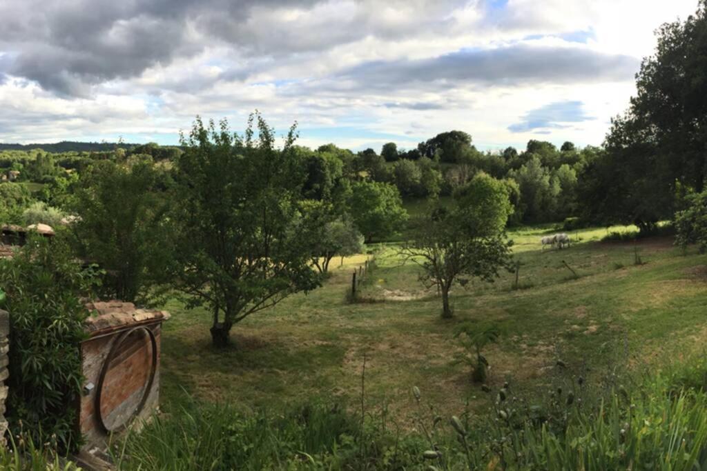 Holiday home Cocotte Luberon, Forcalquier Pierrerue (Alpes-de-Haute-Provence)
